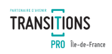 Transition Pro